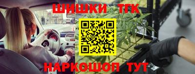 стаф Нальчик