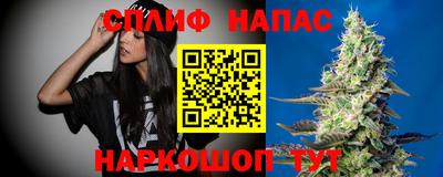 стаф Нальчик